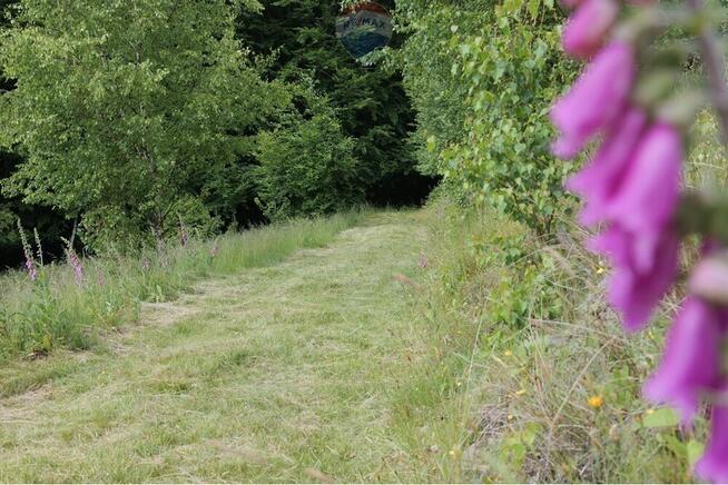 Wzgórze, las i przestrzeń – Twoje miejsce w górach