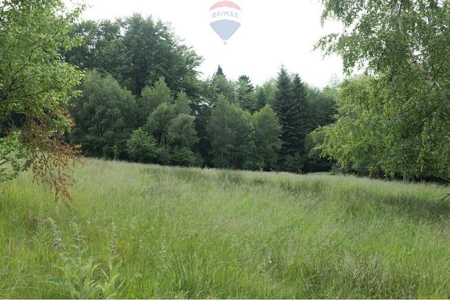 Wzgórze, las i przestrzeń – Twoje miejsce w górach