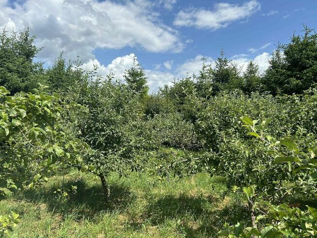 Działka budowlana Radocza gm. Tomice