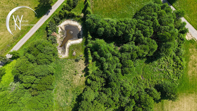 Działka rolna Radziucie gm. Sejny,