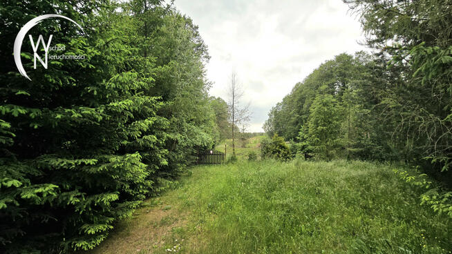 Działka rolna Radziucie gm. Sejny,