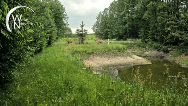 Działka rolna Radziucie gm. Sejny,