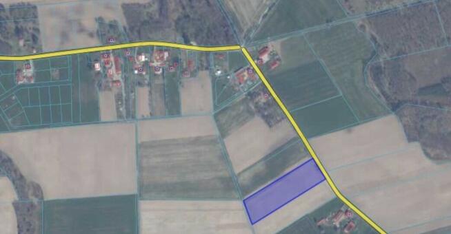 Wargowo - Działki rolne, BEZPOŚREDNIO