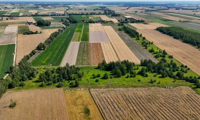 Złotopolice, Działki, BEZPOŚREDNIO