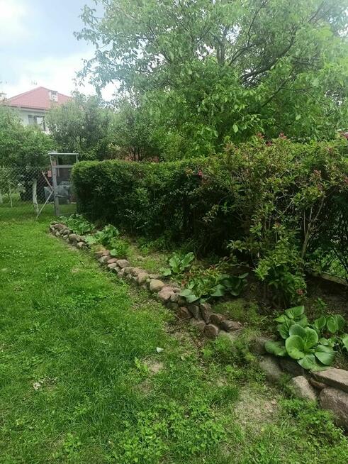 Działka ROD na Winiarach