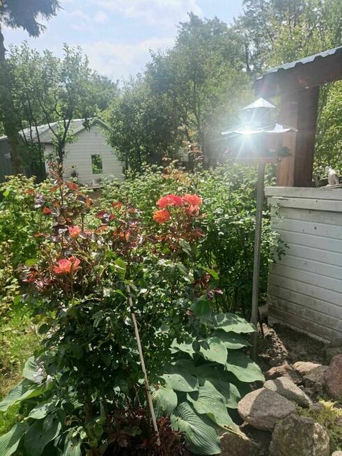 Działka ROD na Winiarach