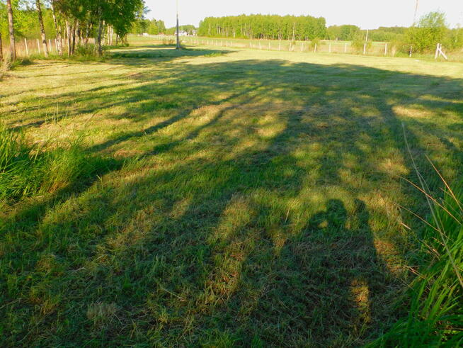 Działka Nowa Wieś/Kolbuszowa