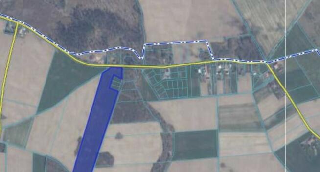 Wargowo - Działki rolne, BEZPOŚREDNIO