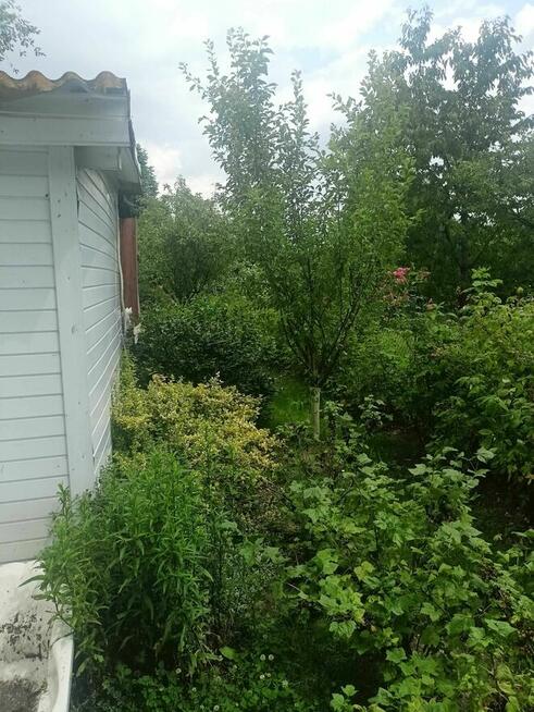 Działka ROD na Winiarach