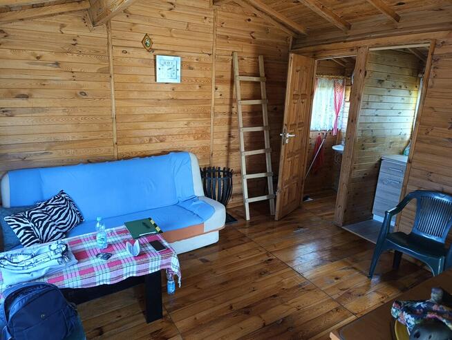 Działka rekreacyjna ROD Benedy w Bydgoszczy!!!