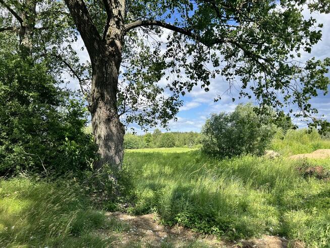 Działki inwestycyjne