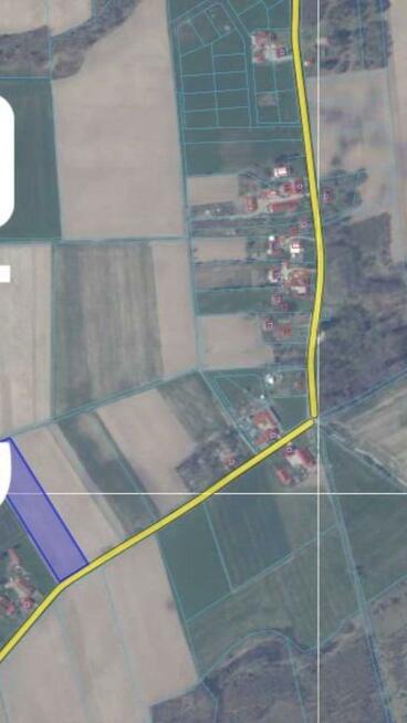 Wargowo - Działki rolne, BEZPOŚREDNIO