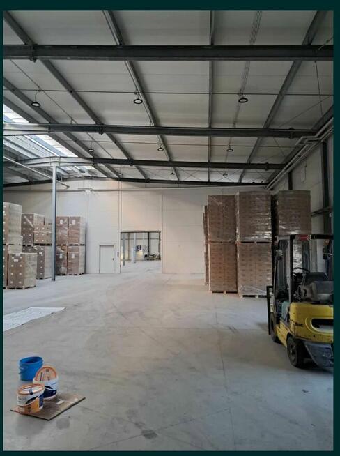 hala przemysłowa + biuro do wynajecia