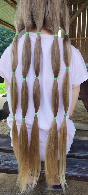 Skup włosów najwyższe ceny