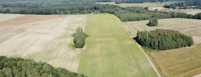 Wargowo - Działki rolne, BEZPOŚREDNIO