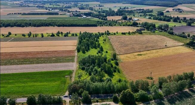 Złotopolice, Działki, BEZPOŚREDNIO