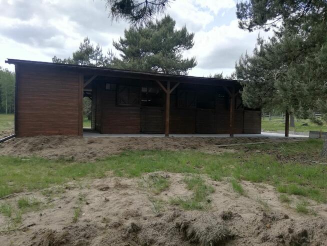 Stajnia drewniana angielska dla koni. Boksy dla konia