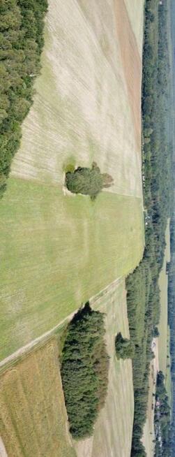 Wargowo - budowlane, BEZPOŚREDNIO