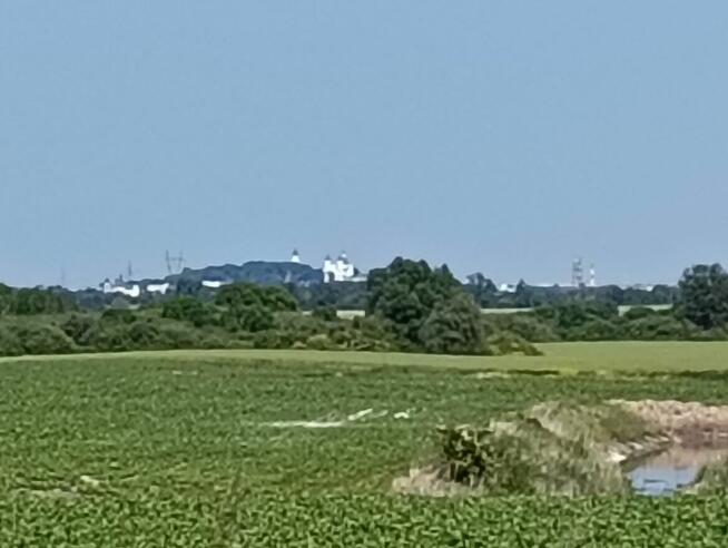 Sprzedam działkę zagrodowa 3000m2