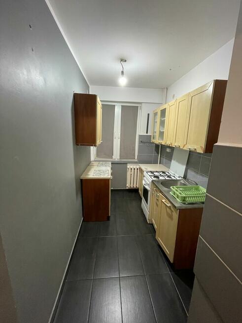 Wynajmę mieszkanie. Ropczyce 36.6 m²