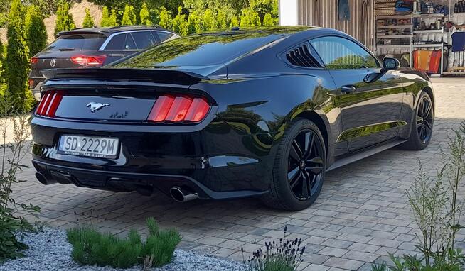 Mustang turbo, performance pack + premium pack + modyfikacje