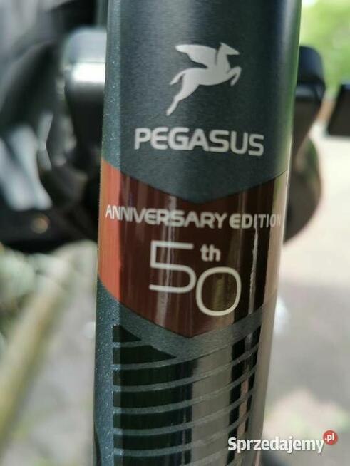 Rower elektryczny PEGASUS Opero Rama na wzrost 168-180cm