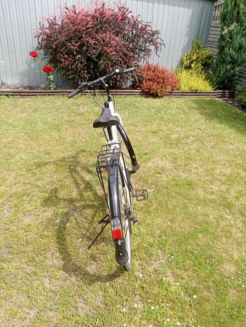 Rower Olpran Mercury