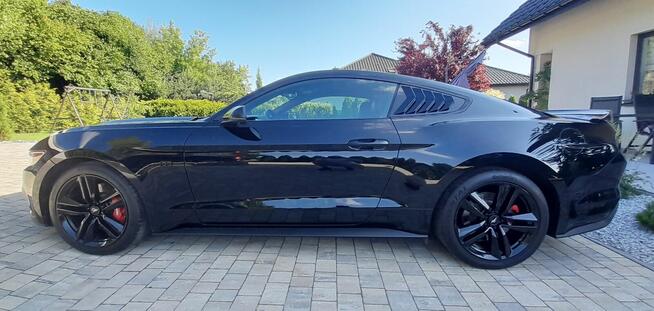 Mustang turbo, performance pack + premium pack + modyfikacje