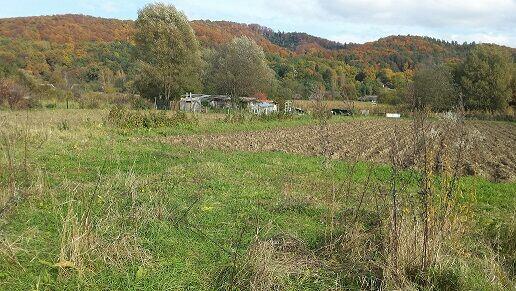 Dzialka miedzy Sanem a Skansenem