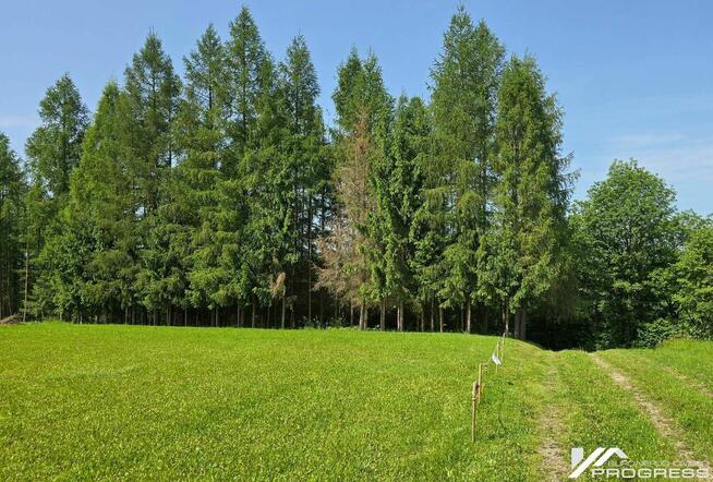 Widokowa działka budowlana 25,81a -Wrocanka Miejsce Piastowe