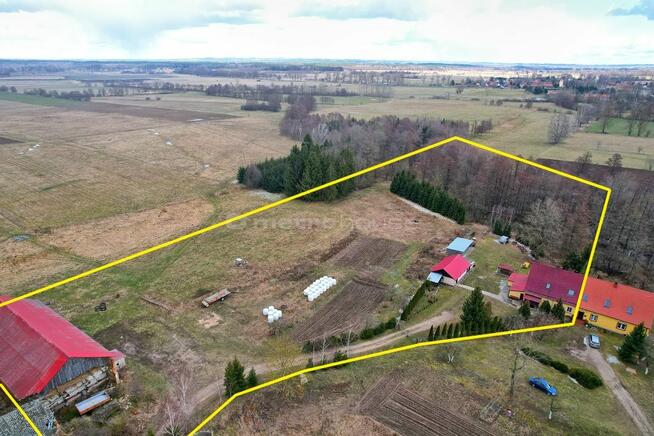 * Duża działka 1,5 ha - dom, budynki, las - Budry
