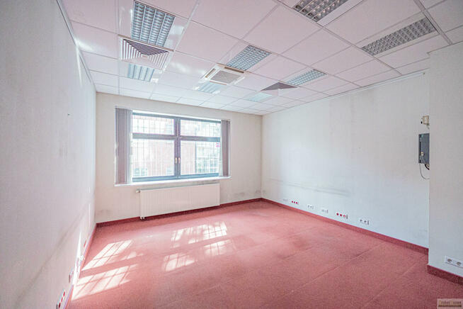 Lokal użytkowy Opole