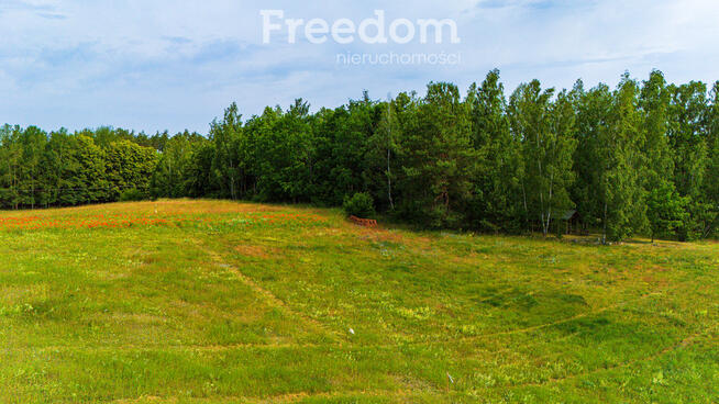 Dzialki budowlane i inwestycyjne w Rydzewie