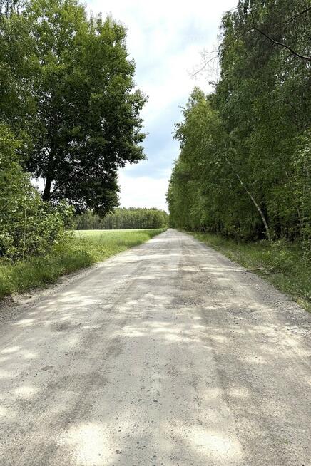 Dom w Kopytowie z dużą działką przy lesie