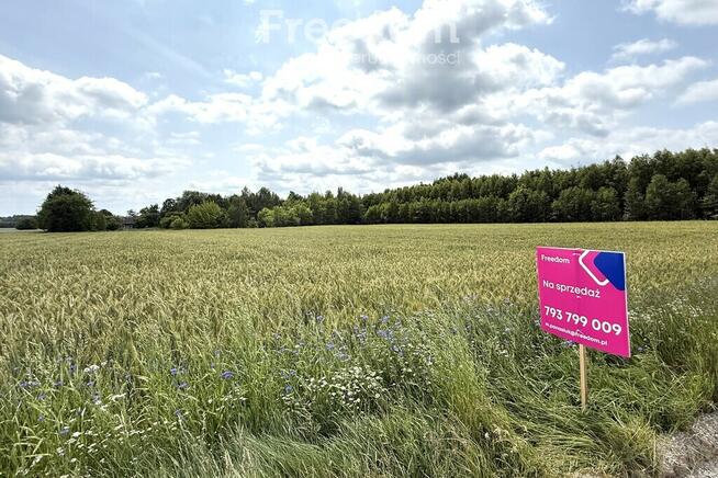 Dom w Kopytowie z dużą działką przy lesie
