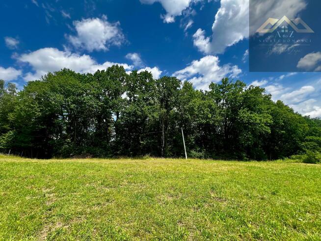 Działka leśna Olszyny gm. Wojnicz