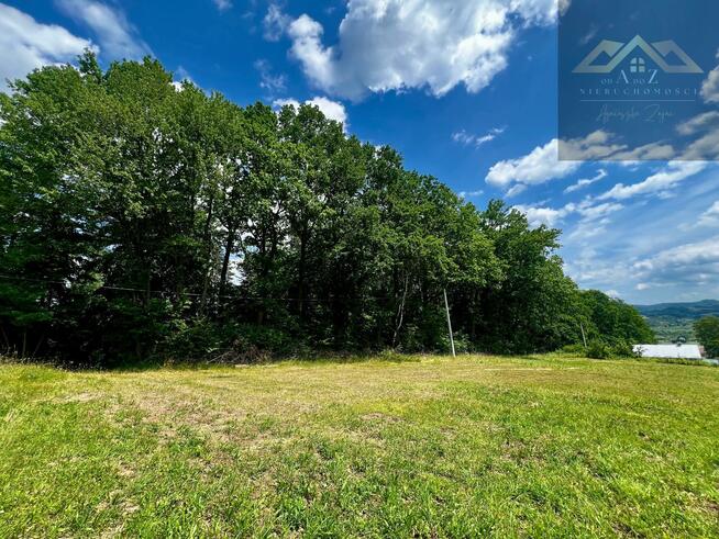 Działka leśna Olszyny gm. Wojnicz