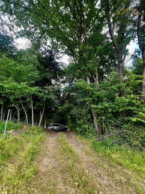 Działka leśna Olszyny gm. Wojnicz