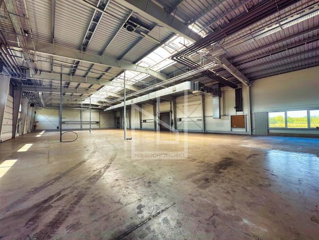 Lokal użytkowy Pustków gm. Dębica