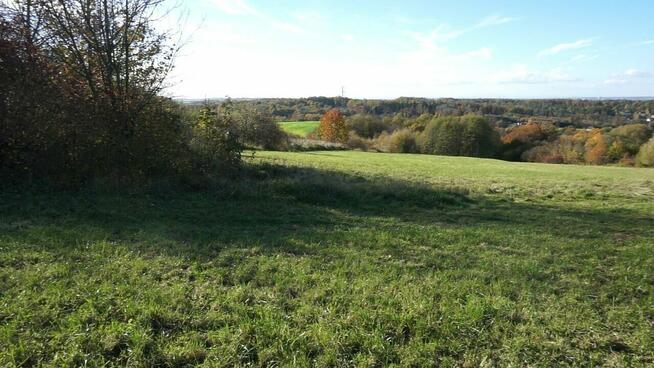 Działka Zamarski gm. Hażlach