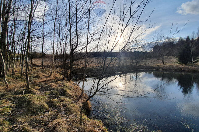Działka budowlano usługowa – przy lesie.