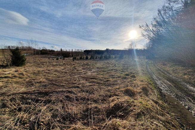 Działka budowlano usługowa – przy lesie.