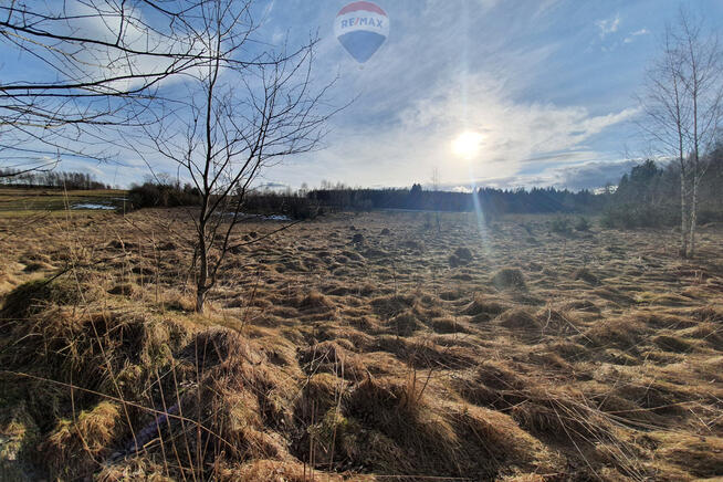 Działka budowlano usługowa – przy lesie.