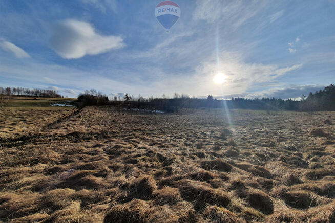 Działka budowlano usługowa – przy lesie.