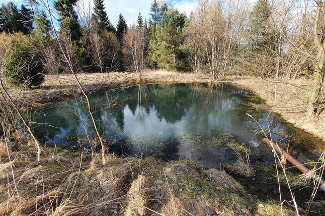 Działka budowlano usługowa – przy lesie.