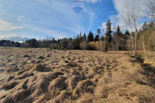 Działka budowlano usługowa – przy lesie.