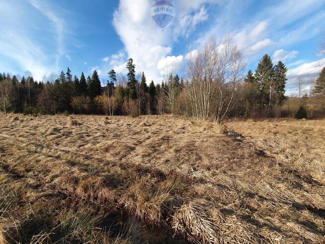 Działka budowlano usługowa – przy lesie.