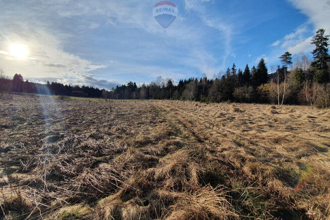 Działka budowlano usługowa – przy lesie.
