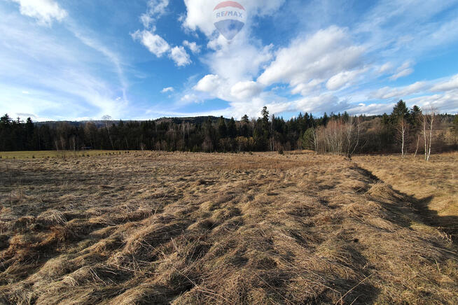 Działka budowlano usługowa – przy lesie.