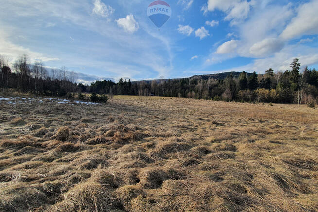 Działka budowlano usługowa – przy lesie.